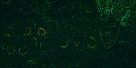 Enigmatic Elegance: Oil-Painted Liquid Art with Vibrant Translucent Colors
