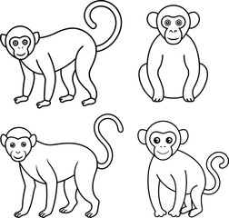 A package of monkey outline or line art or sketch illustration, swinging from a tree branch with a curled tail, drawn with minimalistic lines on a white background.