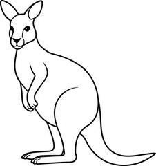Kangaroo outline or line art or sketch illustration, standing upright with a pouch visible, drawn with clean lines on a white background.