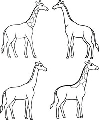A package of Giraffe outline or sketch or line art illustration, showing its long neck and slender legs, drawn with clean, flowing lines on a white background
