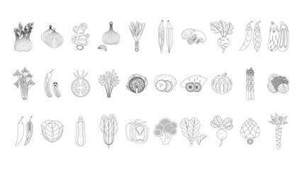 Line Art Organic Vegetables Collection, Natural Healthy Vector Green Food