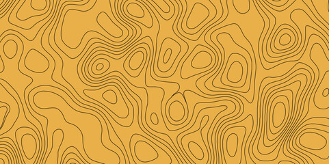 Fototapeta premium Topographic line contour map background, geographic grid map.