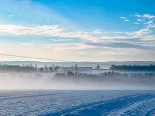 Jena, Germany - Snowy landscape and flora and fauna outdoors in the countryside