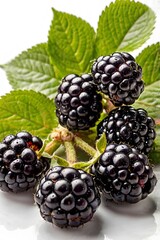 Fototapeta premium Still Life of Blackberry Fruit on White Background