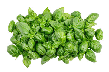 Fresh basil leaves arranged beautifully, ideal for culinary presentations or food-related imagery.