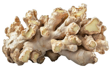 Fresh ginger root with a textured surface, perfect for culinary use or wellness applications.