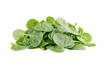 Fototapeta premium Fresh green spinach leaves arranged nicely for culinary use. Perfect for healthy recipes, salads, and garnishes.