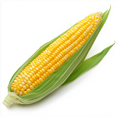 Yellow Corn. Isolated on white background