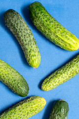 Cucumbers on blue background
