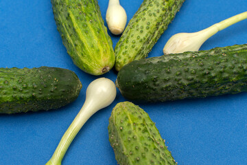 Green onion and cucumbers on blue background	