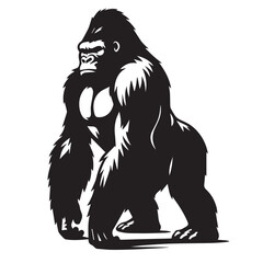 Obraz premium Gorilla Standing - gorilla standing poses - Gorilla standing heigh silhouette - vector image of gorilla 