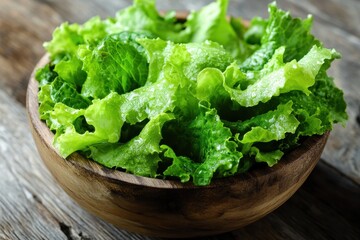 Lettuce Salad Bowl