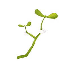 Obraz premium Christmas mistletoe plant branch with rounded leaves and white berries digital watercolor color illustration for use in printing: cards, posters, coupons, discounts, packaging
