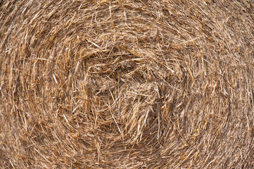 Golden pattern of hay stack at the German countryside in Stuhr, Lower Saxony, Germany