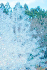 箱根のクリスマスのイルミネーション