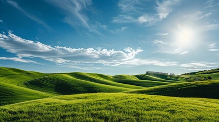 Fototapeta premium Rolling Hills Under Blue Sky