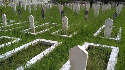 A serene Muslim cemetery with white tombstones, surrounded by greenery. The headstones stand in...