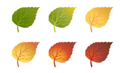 Fototapeta premium Realistic Falling Autumn Leaves. Simple fashionable design Forest autumn Birch leaves flat style. Bright concept for modern invitation cards, posters, banners, advertising for Thanksgiving Day. Vector