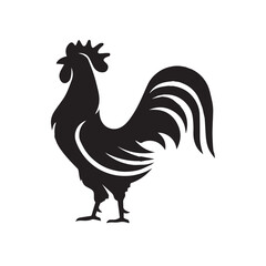 rooster isolated on white background