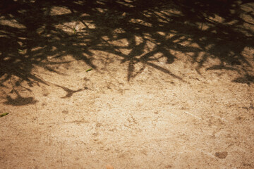 A shadow of a tree is cast on the ground. The shadow is dark and the ground is light brown
