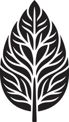 Obraz premium A leaf silhouette. A leaf is a flat, green plant organ vital for photosynthesis, gas exchange, and transpiration.