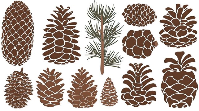 Pine Cones and Pine Cones Stencils 