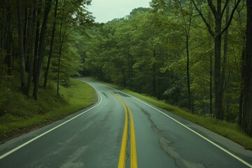 Fototapeta premium Endless road of travel on rural highways There are natural trees on both sides of the road.