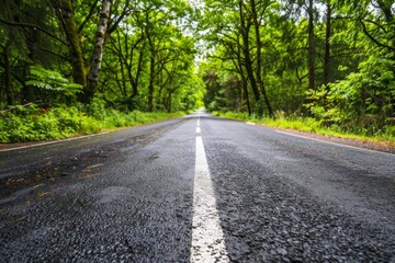 Obraz premium Endless road of travel on rural highways There are natural trees on both sides of the road.