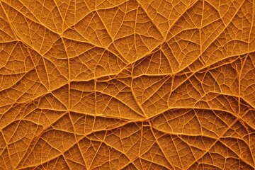 Close up of Fiber structure of dry leaves texture background