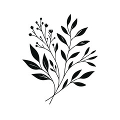 Fototapeta premium Minimal feminine botanical floral branch in silhouette style Hand drawn wedding herb, minimalistic flowers with elegant leaves Botanical rustic trendy greenery 