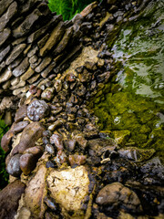 A little creek where the rocks are walls.