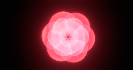 Rose light pattern on black background.