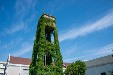 The old-fashioned water tower is covered with greenery