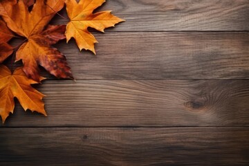 Autumn wood leaf leaves.