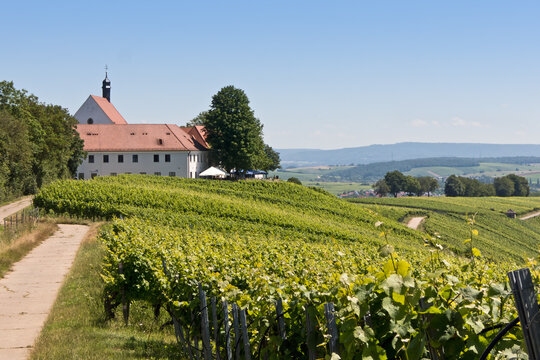 die historische Vogelsburg liegt &uuml;ber dem Main in den Weinbergen
