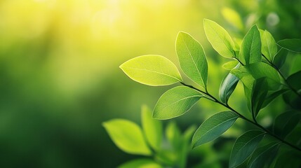 Modern close up of leaves on blurred green background. Generative ai