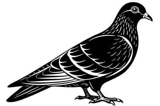 recommend clip art: Pigeon perched black and white silhouette vector illustration on white background