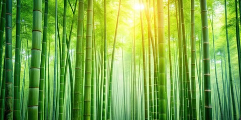 Fototapeta premium Green bamboo wallpaper with a nature background featuring a beautiful bamboo forest, bamboo, green, wallpaper, nature, background
