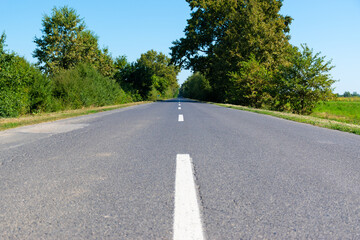 Fototapeta premium road in the forest