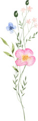 Wildflowers bouqueta watercolor flowers clipart Transparent Top Selling