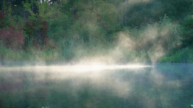 Morning lake in the forest, water evaporation on the surface of the lake in the rays of the sun