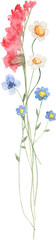 Wildflowers bouqueta watercolor flowers clipart png