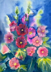 Hand-painted watercolor hollyhocks on the blue background. Hollyhocks painting. Pink and red hollyhocks. Botanical painting with pink flowers.