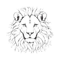 line art lion on white background. sketch style. Vector graphic icon animal.