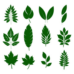 green typography set vector illustration