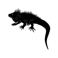 Iguana Lizard Silhouette Vector Illustration