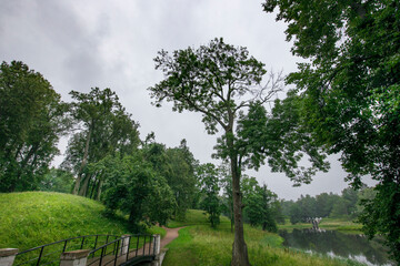 A bridge over a grassy field with trees in the background
