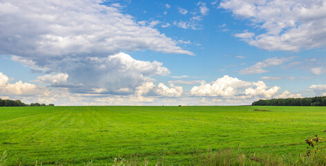 A large, open field with a clear blue sky