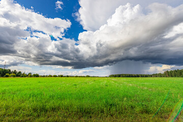 A field of grass with a storm in the distance