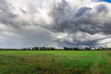 A field of grass with a rainbow in the sky